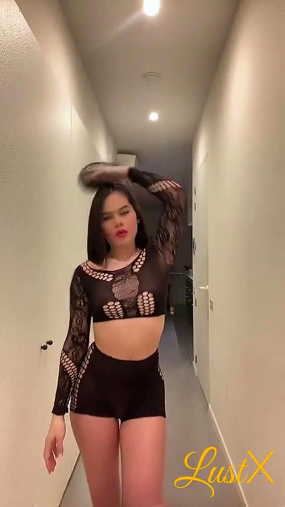 Gaya Video Hintergrund